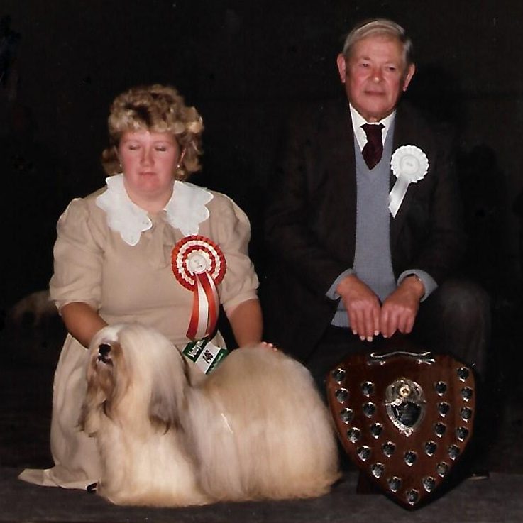 Saxonsprings Misty Gold at Sarabande JW