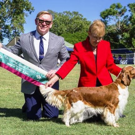 Aust.Ch Sarabande Sea Of Dreams (AI) (IMP UK)