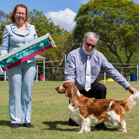 Aust.Ch Sarabande Sea Of Dreams (AI) (IMP UK)