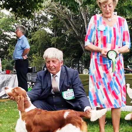 AM GCH, UK SH CH Sarabande Sweet Nothings (AI)