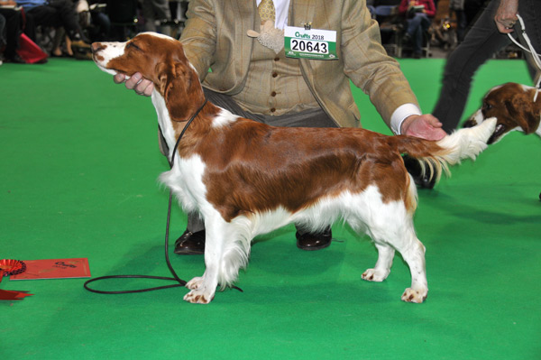 Sarabande Dance To The Rhythm