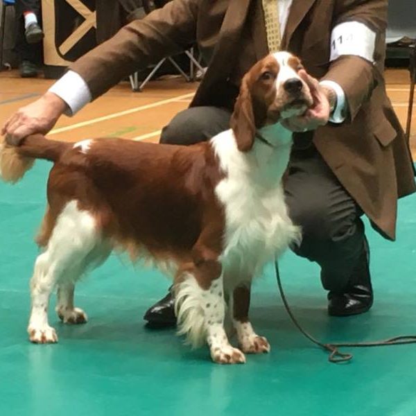 Sarabande Man in the Mirror (AI) Sh CM JW