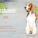 Our Dogs Annual Advert 2023 _ Page 1 and 2