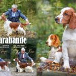 Our Dogs Annual Advert 2023 _ Page 3 and 4