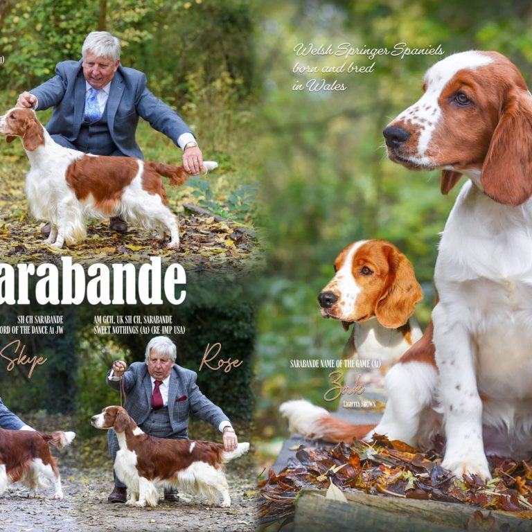 Our Dogs Annual Advert 2023 _ Page 3 and 4