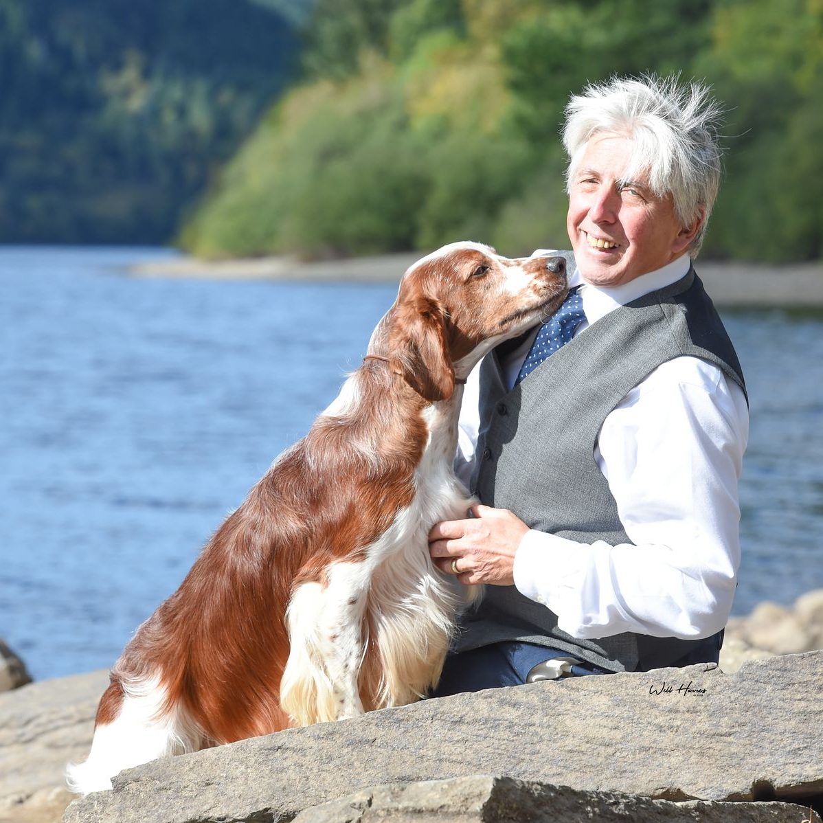 Sarabande Perfect Storm (Ai) Sh CM