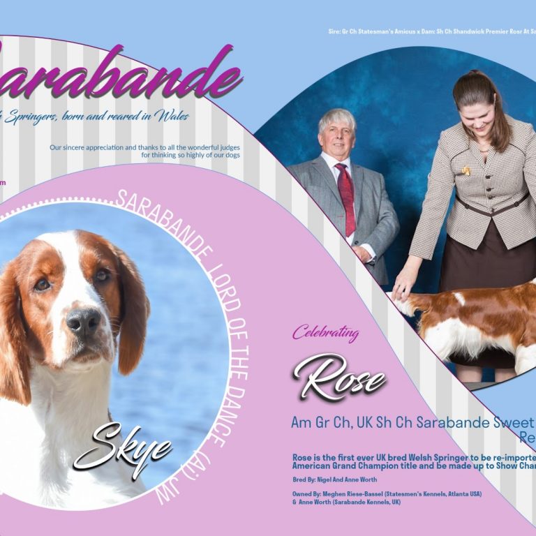 Sarabande_ Nigel Worth_ Annual 2020