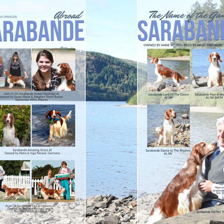 Sarabande_Worth_DPS_ANNUAL 2019