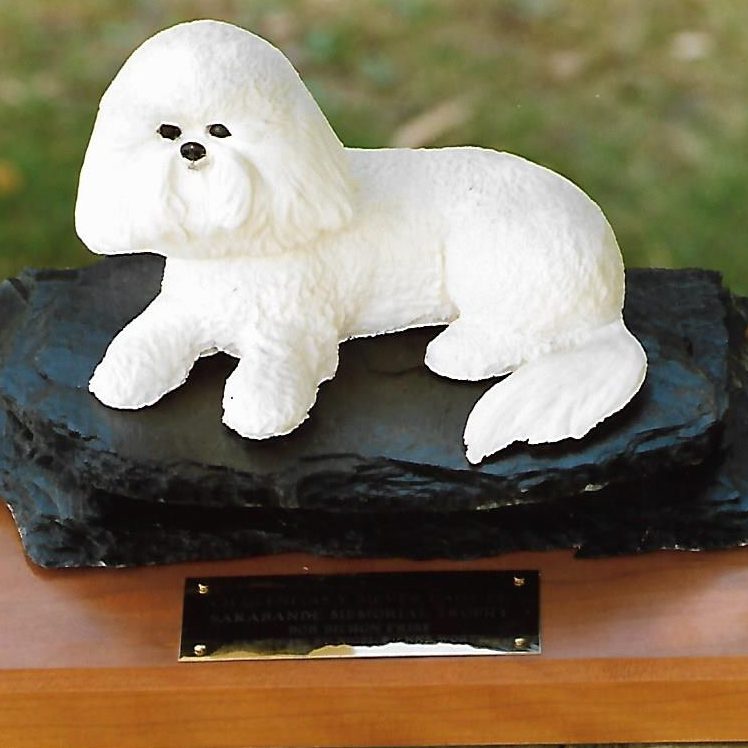 Ch Glenfolly Silver Lady of Sarabande