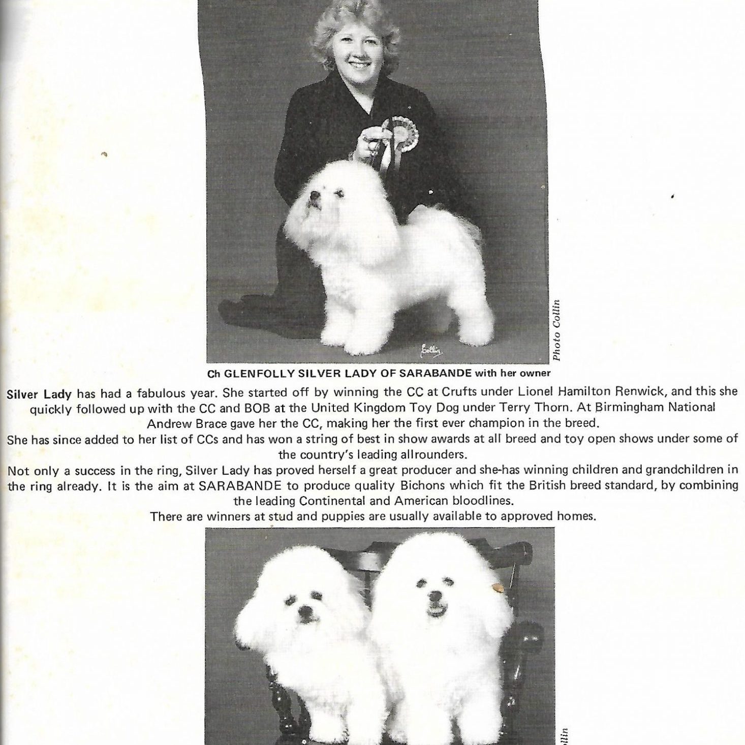 Ch Glenfolly Silver Lady of Sarabande