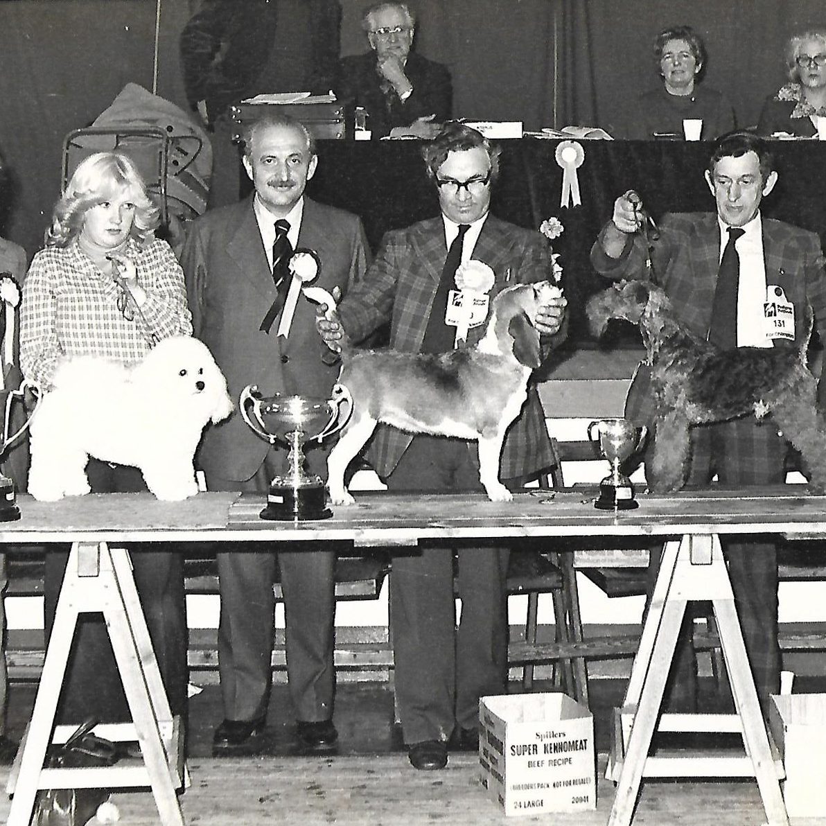 Ch Glenfolly Silver Lady of Sarabande