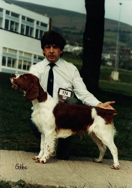 Canisbay Casanova at Sarabande