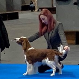 Sarabande Dance To The Rhythm