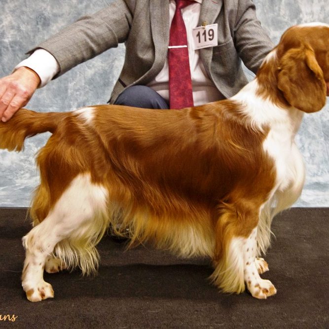 Sarabande Man in the Mirror (AI) Sh CM JW