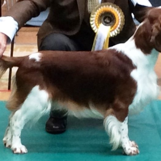 Sarabande Man in the Mirror (AI) Sh CM JW