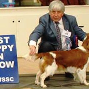 Sarabande Lord of the Dance (AI) JW