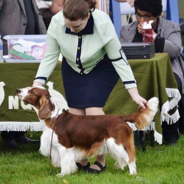 Sarabande Lord of the Dance (AI) JW