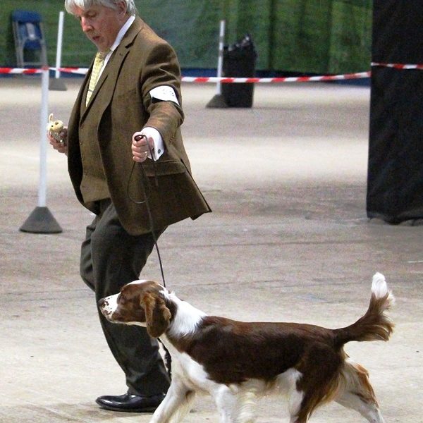 Sarabande Lord of the Dance (AI) JW