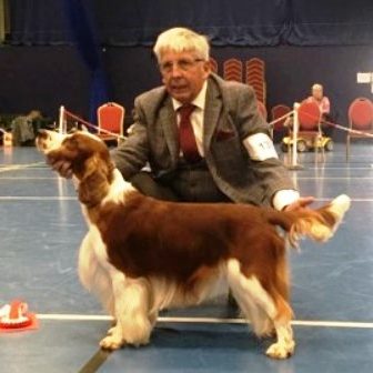 Sarabande Lord of the Dance (AI) JW