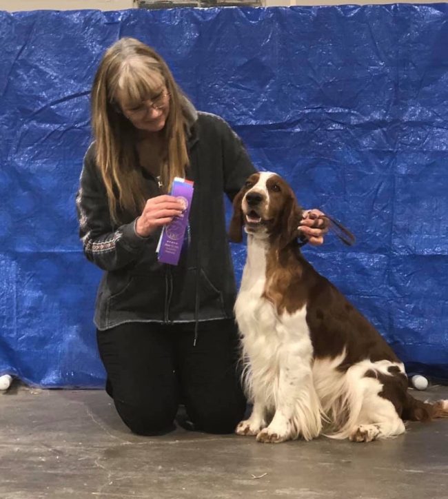 Ch (USA) Sarabande Dream Alliance AI