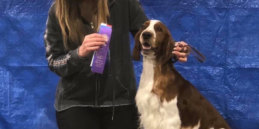 Ch (USA) Sarabande Dream Alliance AI