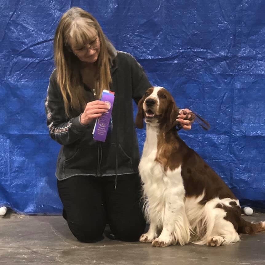 Ch (USA) Sarabande Dream Alliance AI