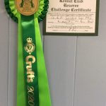 AM GCH, UK SH CH Sarabande Sweet Nothings (AI)