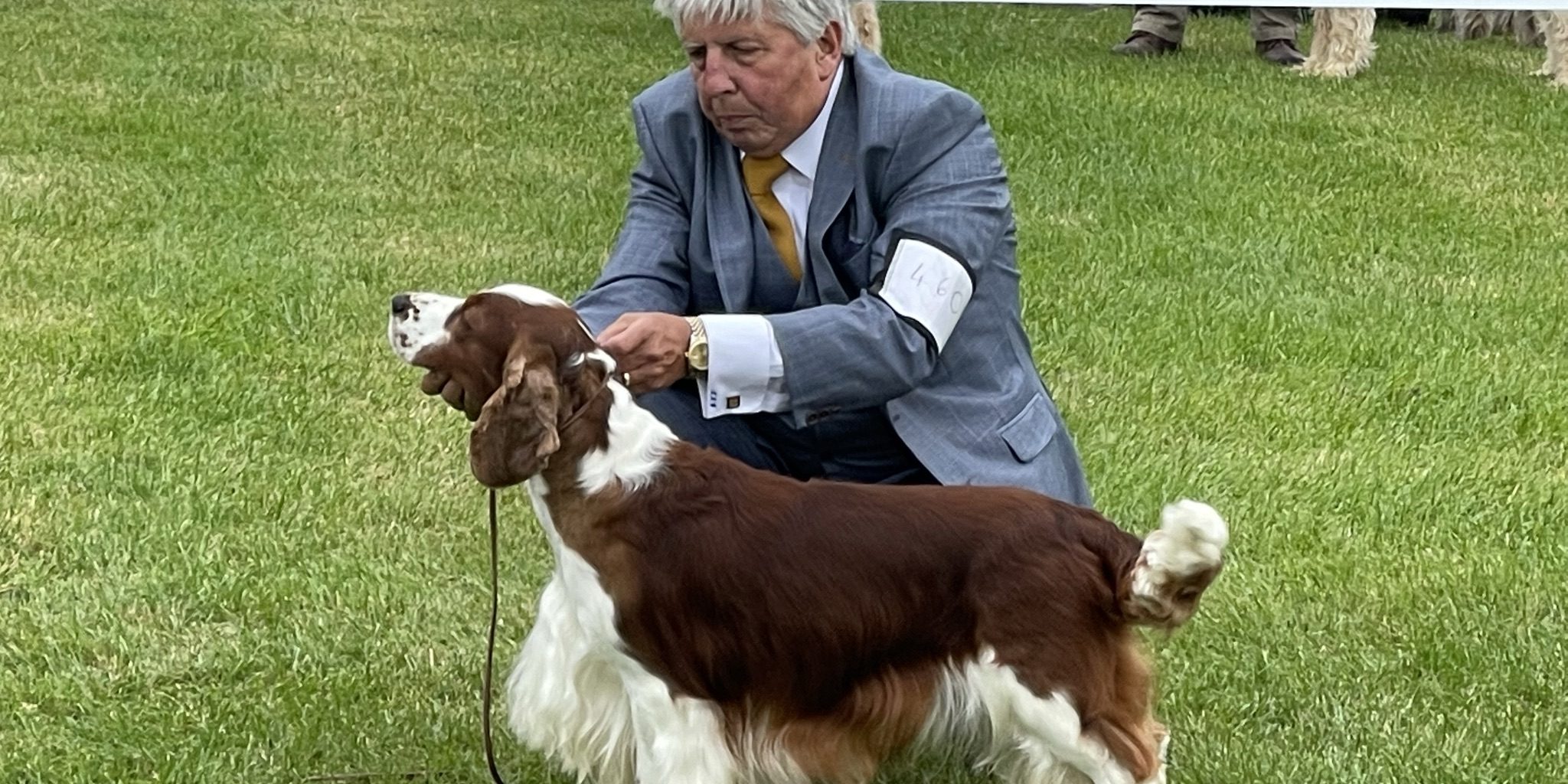 Sarabande Lord of the Dance JW (Ai)