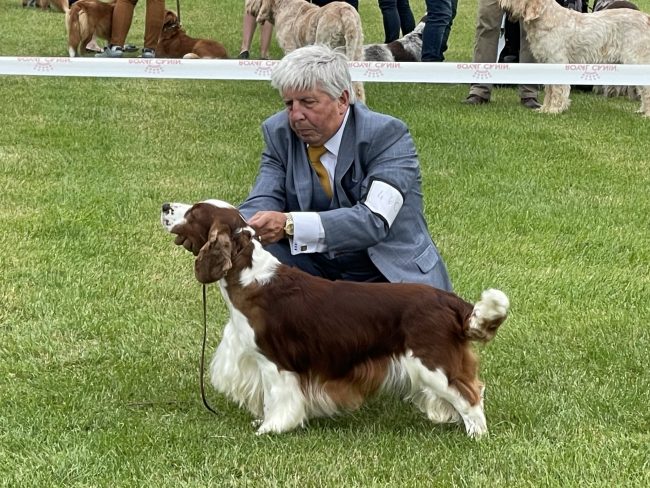 Sarabande Lord of the Dance JW (Ai)