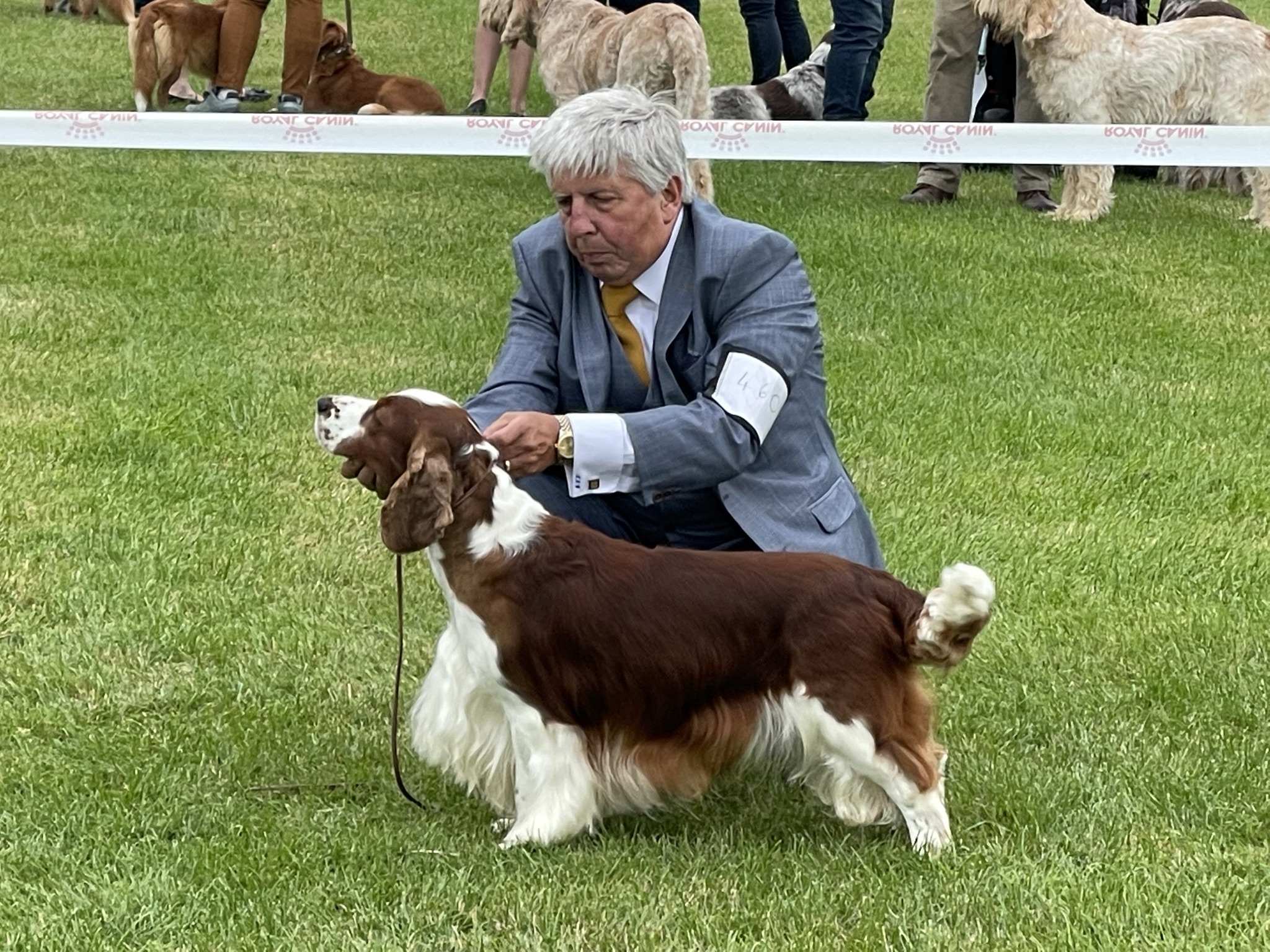 Sarabande Lord of the Dance JW (Ai)