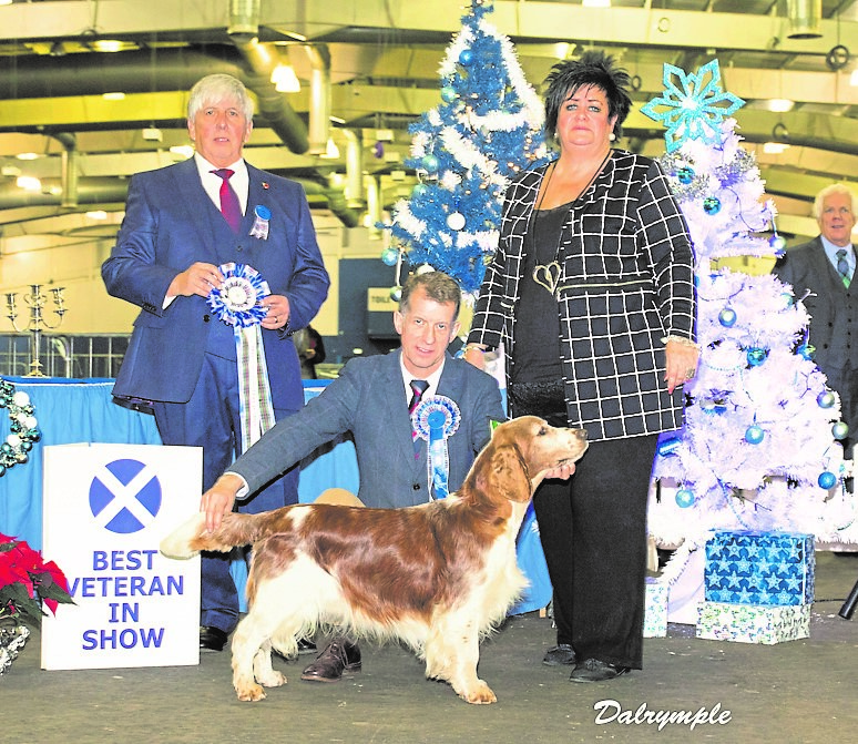 Sh Ch Ferndel Aeron Macgregor