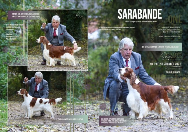 Nigel Worth_Sarabande_DPS_ Annual 2022