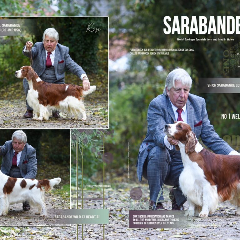 Nigel Worth_Sarabande_DPS_ Annual 2022