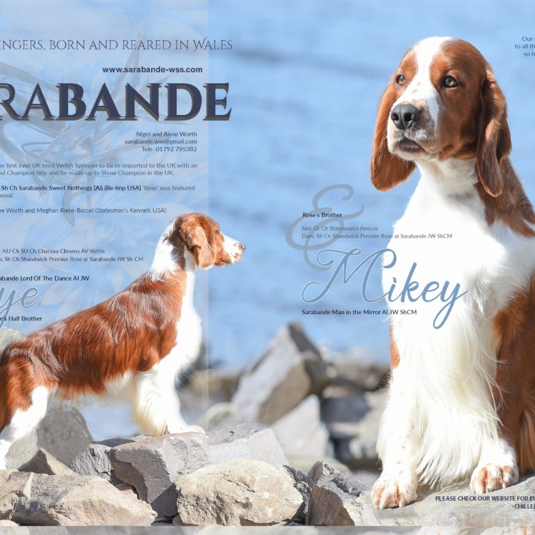 Sarabande_ Nigel Worth_ Annual 2021_DPS