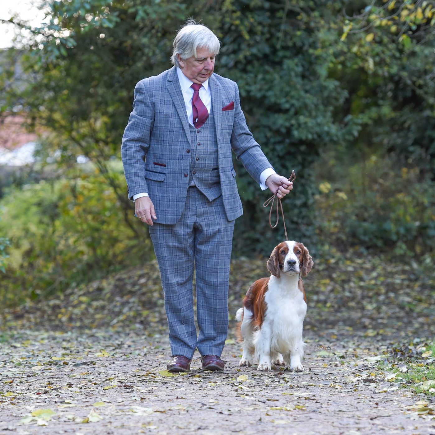 Sh Ch Sarabande Lord of the Dance Ai JW