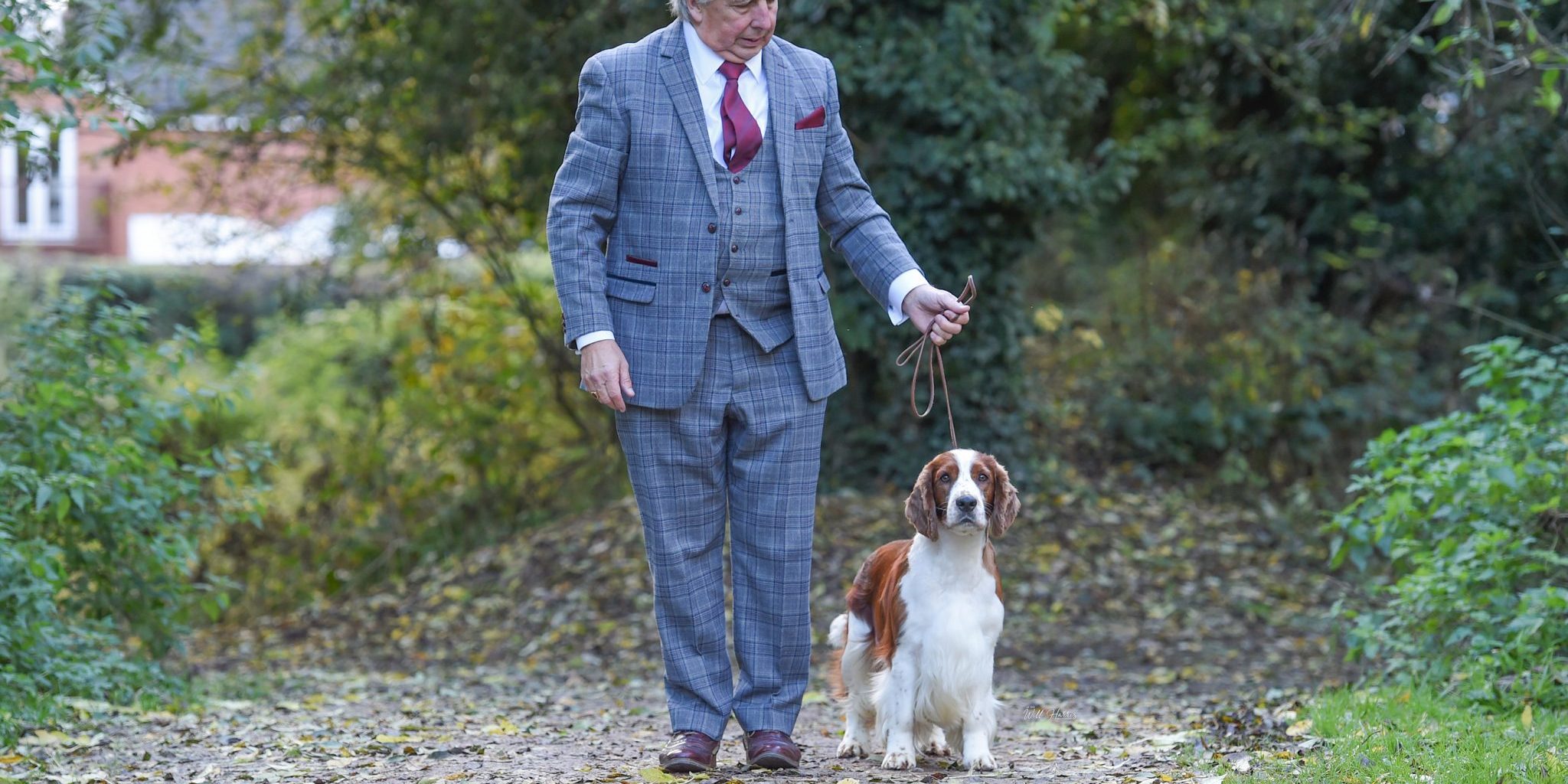 Sh Ch Sarabande Lord of the Dance Ai JW