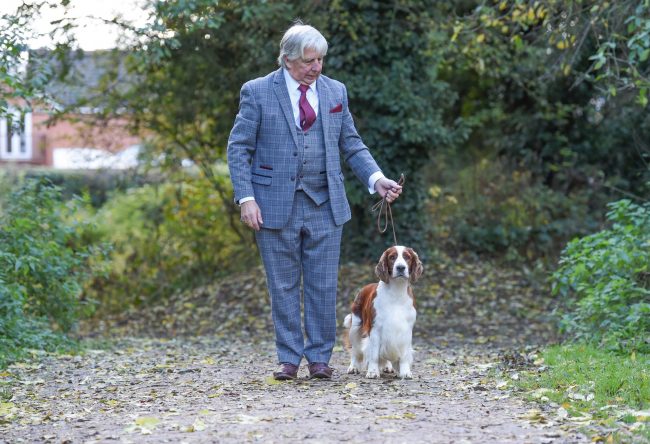 Sh Ch Sarabande Lord of the Dance Ai JW