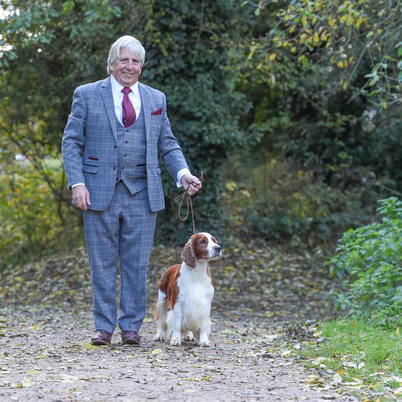 Sh Ch Sarabande Lord of the Dance Ai JW