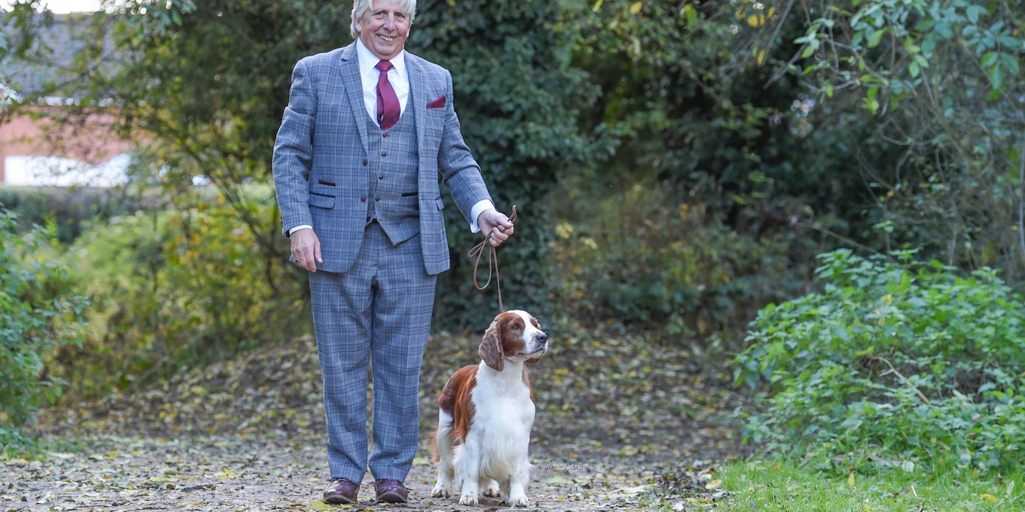 Sh Ch Sarabande Lord of the Dance Ai JW