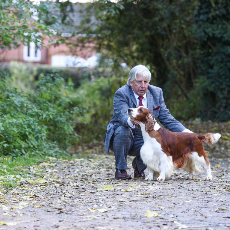 Sh Ch Sarabande Lord of the Dance Ai JW