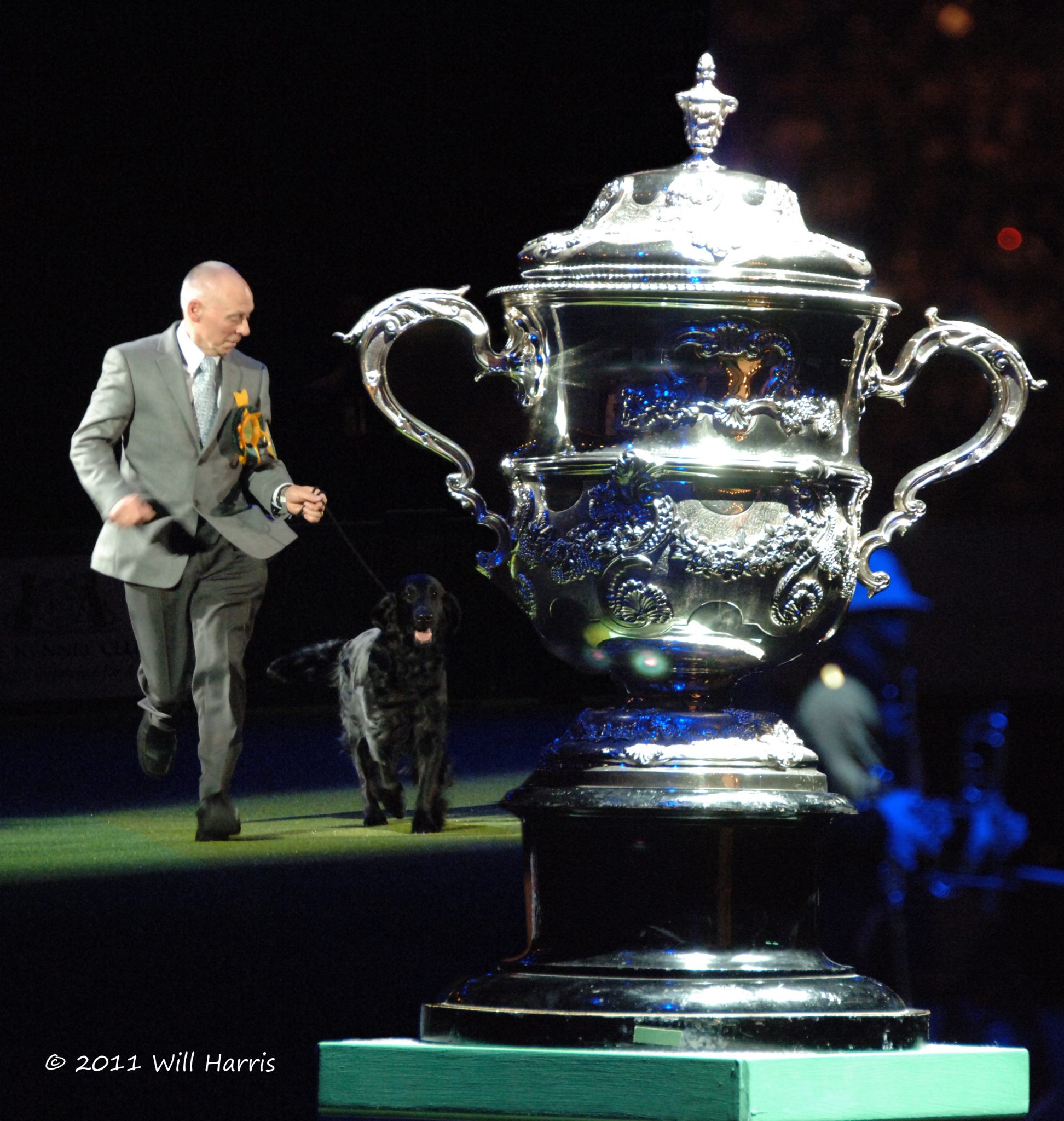 Sh Ch Vbos The Kentuckian