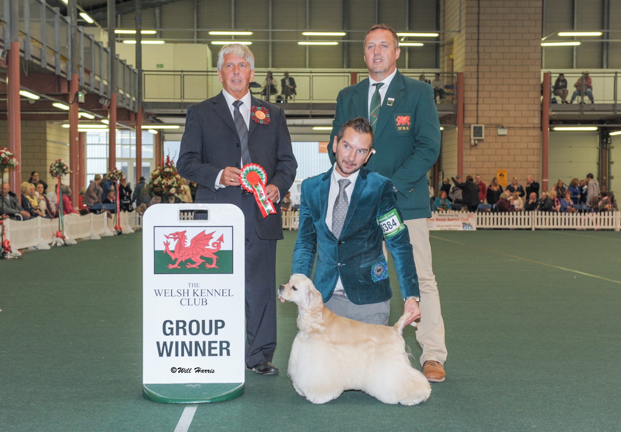 The Welsh Kennel Club