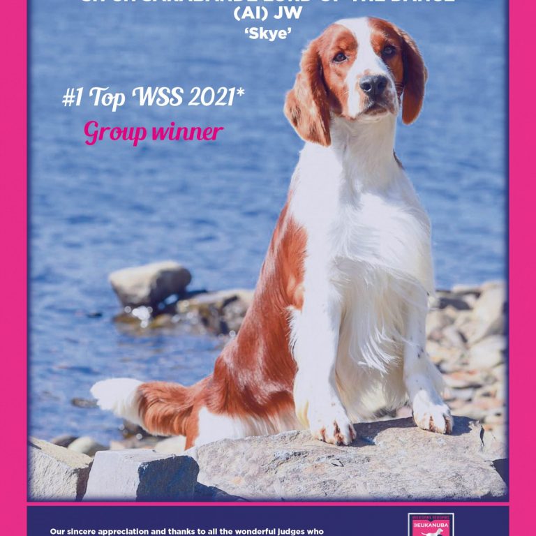 Our Dogs Annual 2022 - Eukanuba Breeders Advert