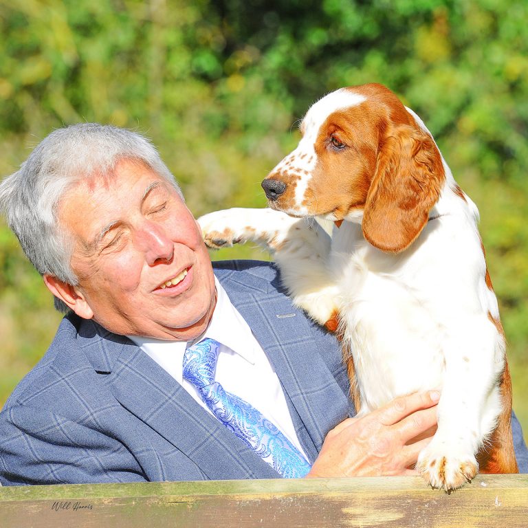 Sarabande Kisses of Fire (Ai)