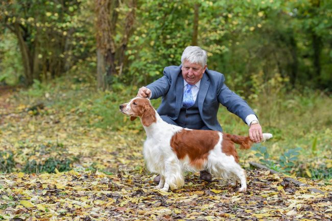 Sarabande Defying Gravity (Ai)