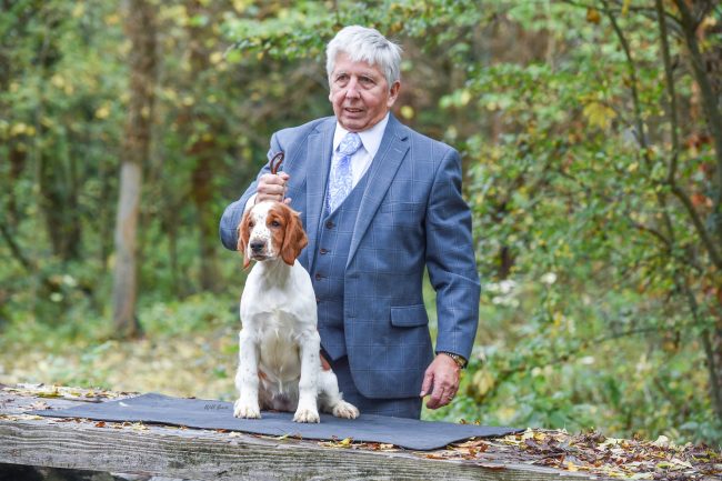 Sarabande Kisses of Fire (Ai)