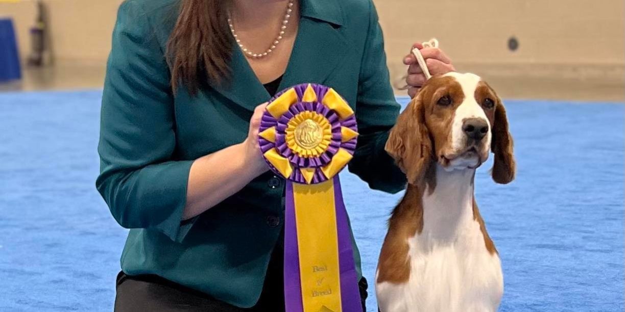 Sarabande Dare To Dream (Ai)