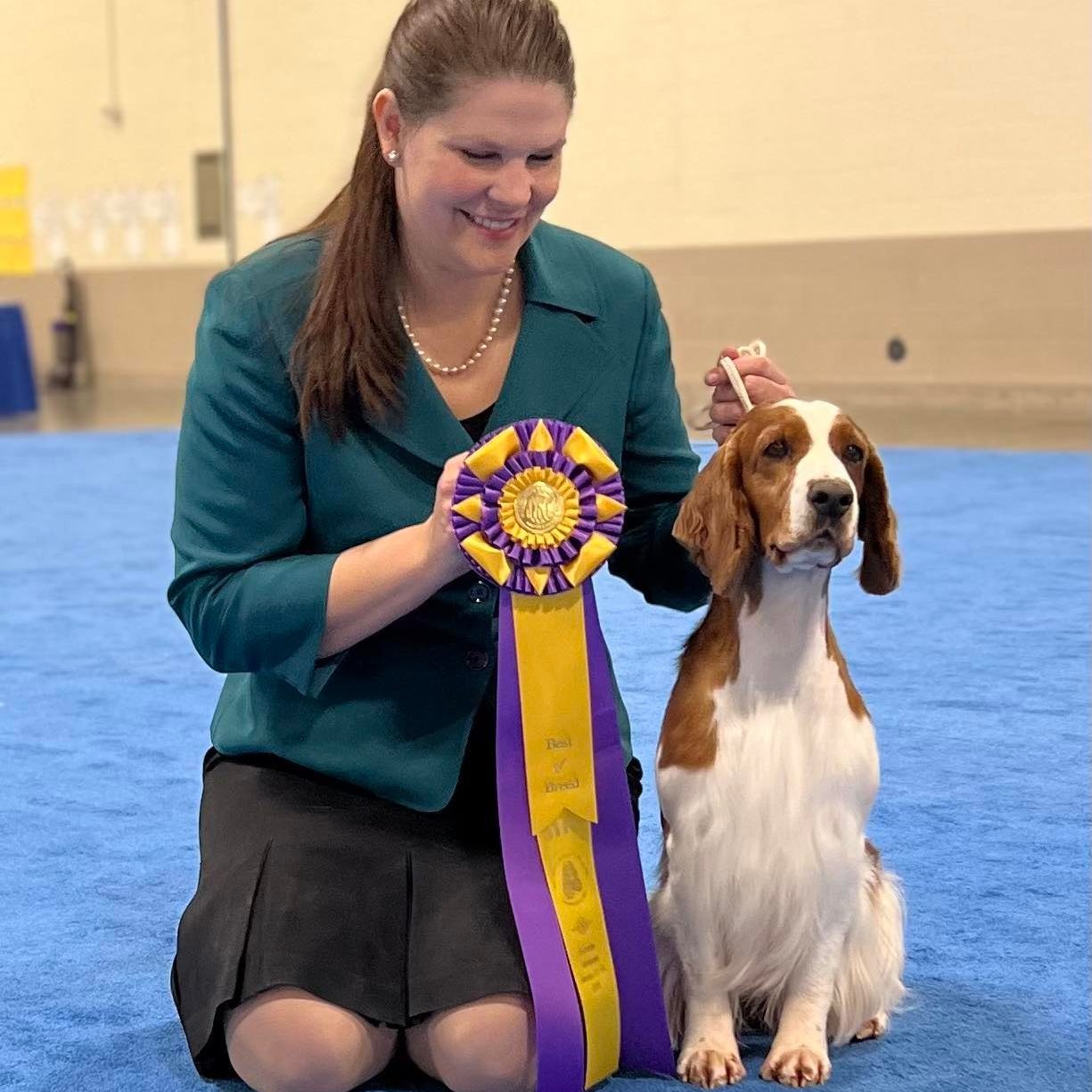 Sarabande Dare To Dream (Ai)