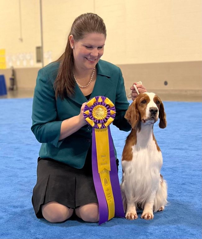 Sarabande Dare To Dream (Ai)