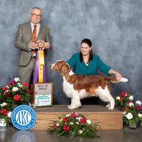 Sarabande Dare To Dream (Ai)